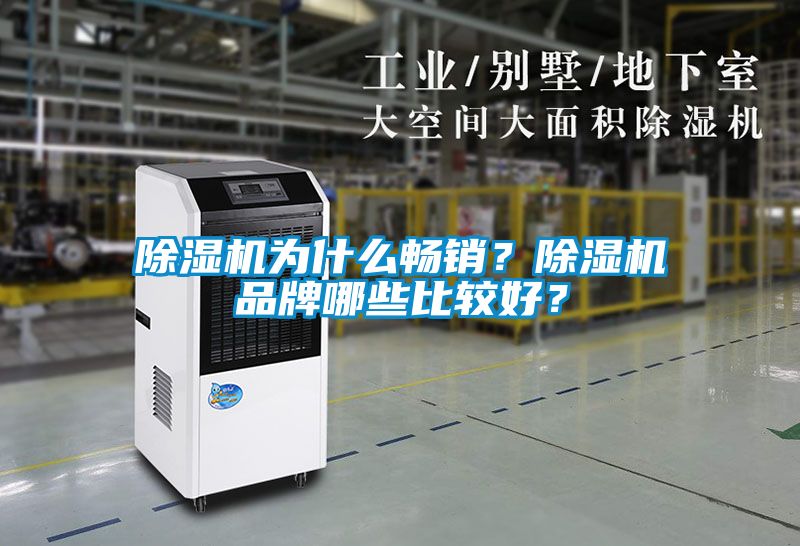 除濕機為什么暢銷？除濕機品牌哪些比較好？