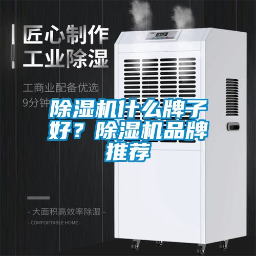 除濕機什么牌子好？除濕機品牌推薦