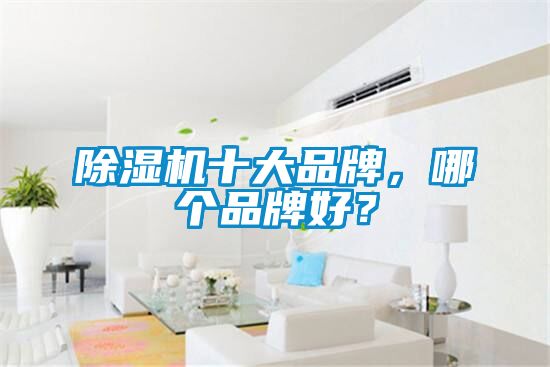 除濕機十大品牌，哪個品牌好？