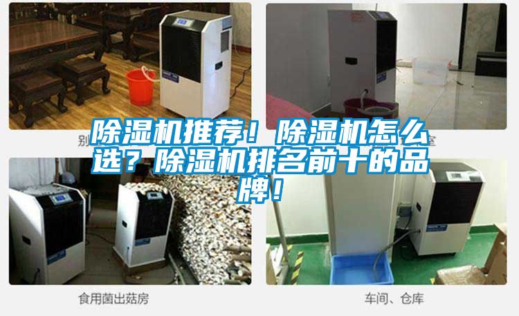除濕機(jī)推薦！除濕機(jī)怎么選？除濕機(jī)排名前十的品牌！