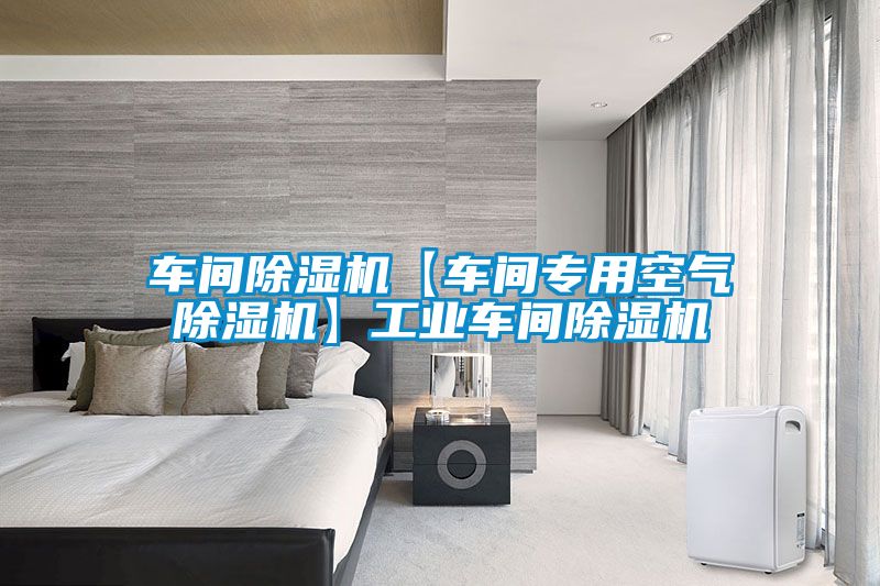 車間除濕機【車間專用空氣除濕機】工業(yè)車間除濕機