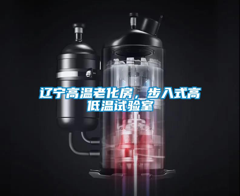 遼寧高溫老化房，步入式高低溫試驗(yàn)室