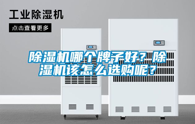 除濕機(jī)哪個(gè)牌子好？除濕機(jī)該怎么選購(gòu)呢？