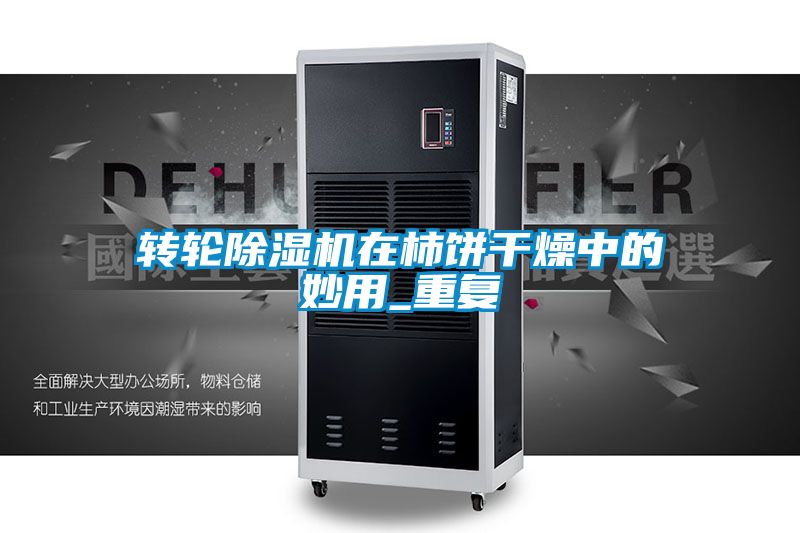 轉(zhuǎn)輪除濕機在柿餅干燥中的妙用_重復
