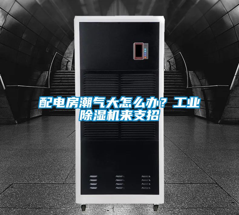 配電房潮氣大怎么辦？工業(yè)除濕機(jī)來支招
