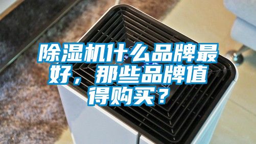 除濕機(jī)什么品牌最好，那些品牌值得購(gòu)買？