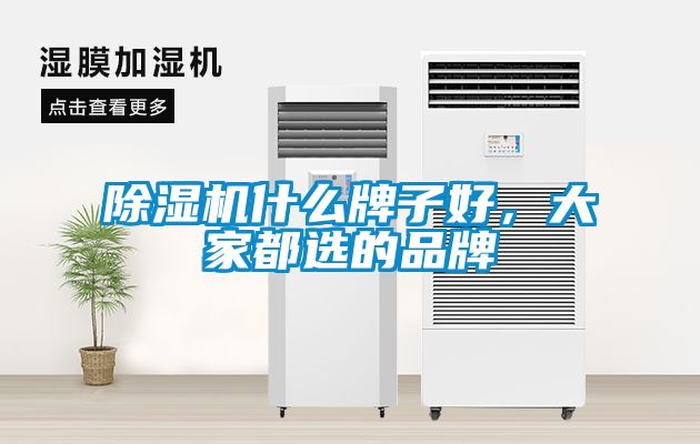 除濕機(jī)什么牌子好，大家都選的品牌