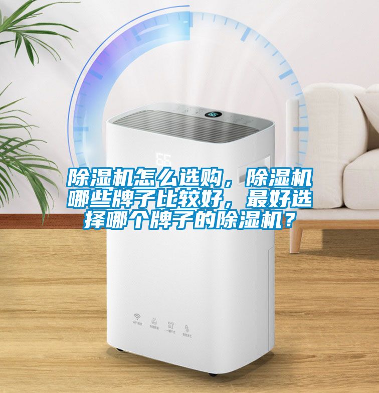 除濕機(jī)怎么選購，除濕機(jī)哪些牌子比較好，最好選擇哪個(gè)牌子的除濕機(jī)？