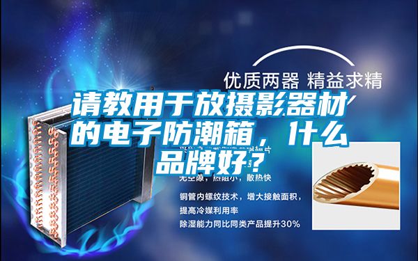 請教用于放攝影器材的電子防潮箱，什么品牌好？