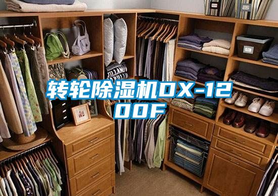 轉輪除濕機DX-1200F
