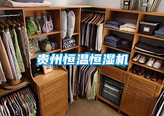 貴州恒溫恒濕機