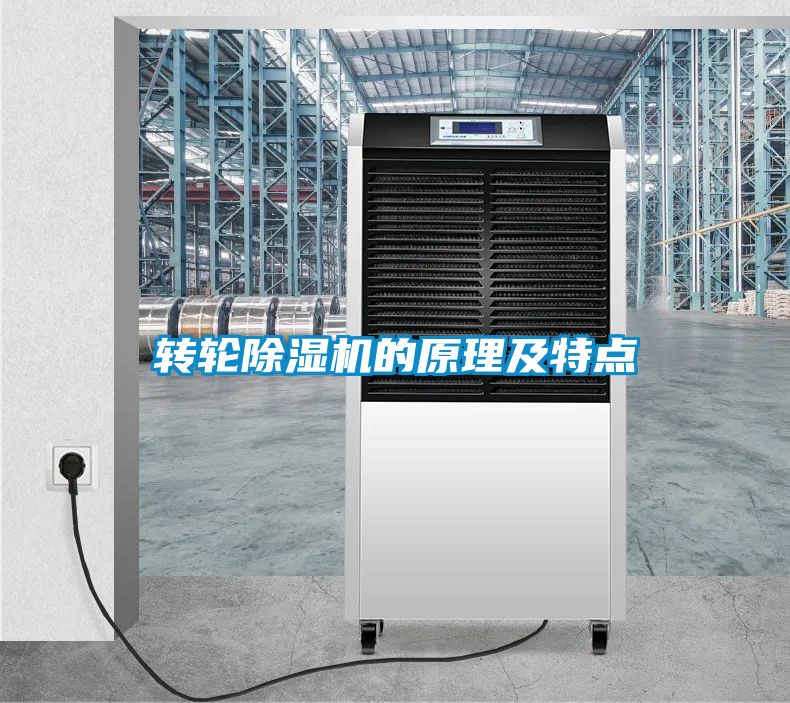 轉(zhuǎn)輪除濕機的原理及特點