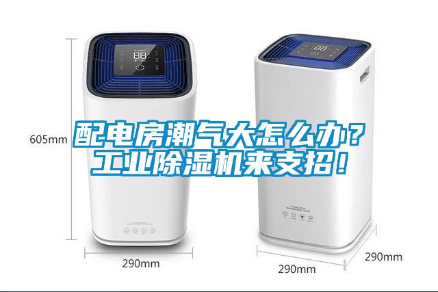 配電房潮氣大怎么辦？工業(yè)除濕機(jī)來支招！
