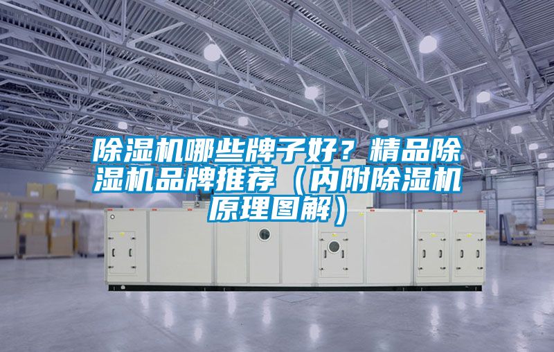 除濕機(jī)哪些牌子好？精品除濕機(jī)品牌推薦（內(nèi)附除濕機(jī)原理圖解）