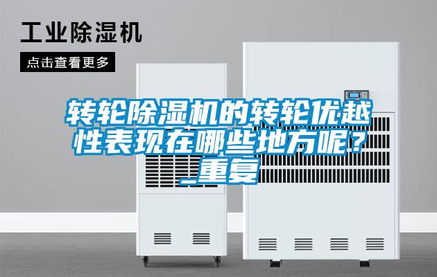 轉(zhuǎn)輪除濕機(jī)的轉(zhuǎn)輪優(yōu)越性表現(xiàn)在哪些地方呢？_重復(fù)
