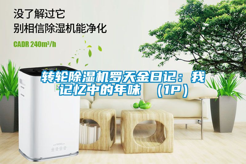 轉(zhuǎn)輪除濕機(jī)羅天金日記：我記憶中的年味 （1P）