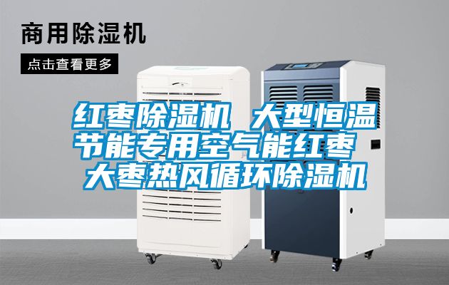 紅棗除濕機 大型恒溫節(jié)能專用空氣能紅棗 大棗熱風(fēng)循環(huán)除濕機