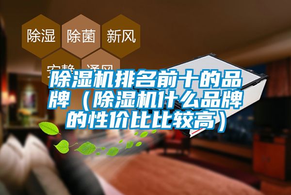 除濕機(jī)排名前十的品牌（除濕機(jī)什么品牌的性價比比較高）