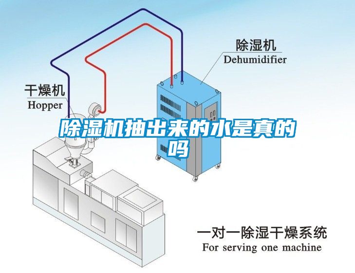 除濕機抽出來的水是真的嗎