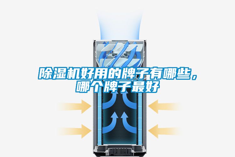 除濕機好用的牌子有哪些，哪個牌子最好