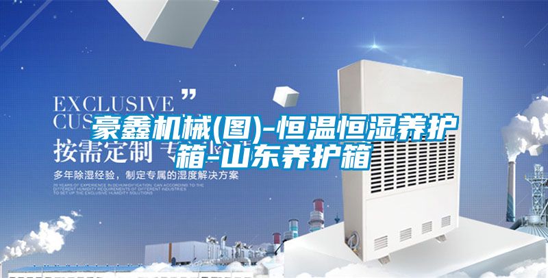 豪鑫機(jī)械(圖)-恒溫恒濕養(yǎng)護(hù)箱-山東養(yǎng)護(hù)箱