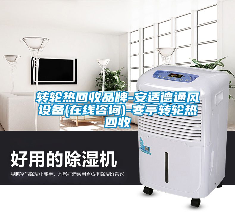 轉(zhuǎn)輪熱回收品牌-安適德通風(fēng)設(shè)備(在線咨詢)-寒亭轉(zhuǎn)輪熱回收