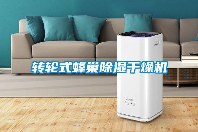 轉(zhuǎn)輪式蜂巢除濕干燥機