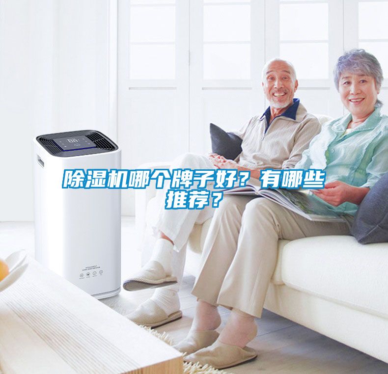 除濕機(jī)哪個(gè)牌子好？有哪些推薦？