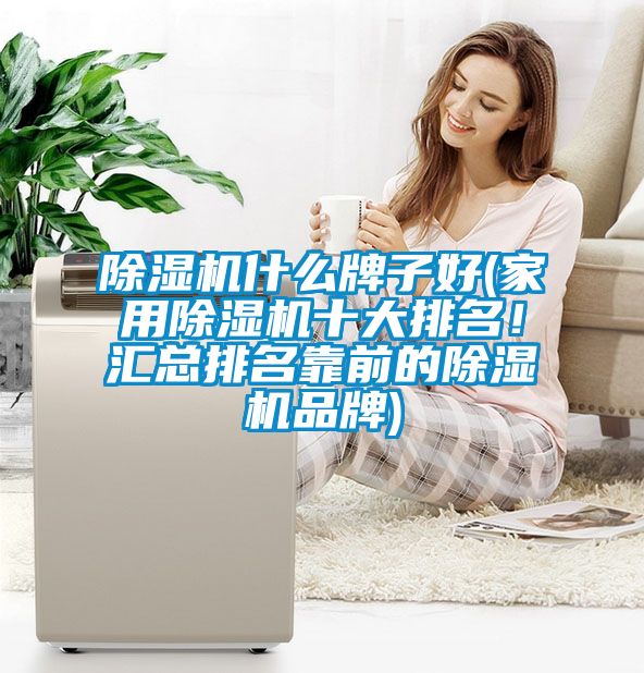 除濕機(jī)什么牌子好(家用除濕機(jī)十大排名！匯總排名靠前的除濕機(jī)品牌)