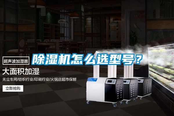除濕機(jī)怎么選型號(hào)？