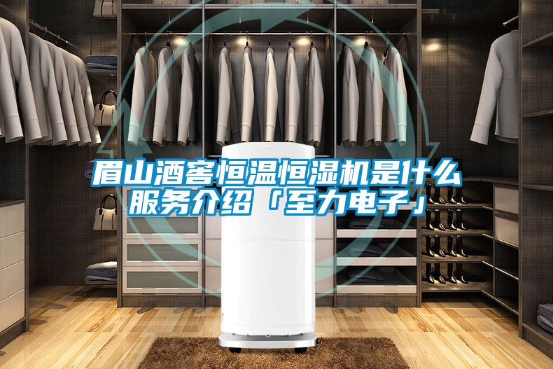 眉山酒窖恒溫恒濕機是什么服務介紹「至力電子」