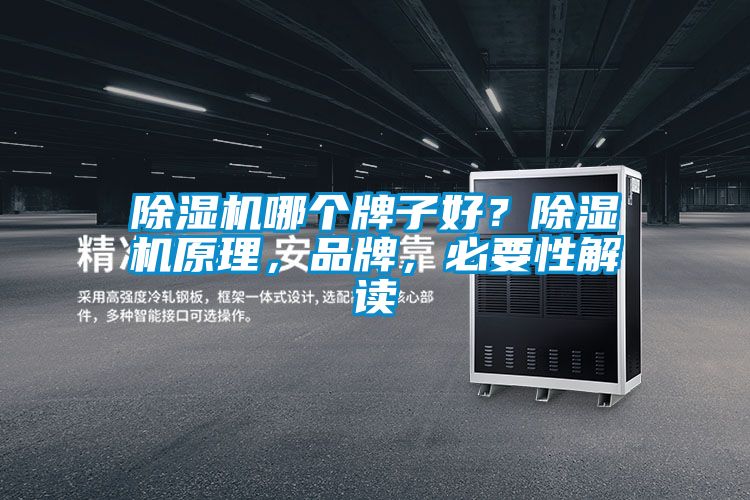 除濕機(jī)哪個(gè)牌子好？除濕機(jī)原理，品牌，必要性解讀