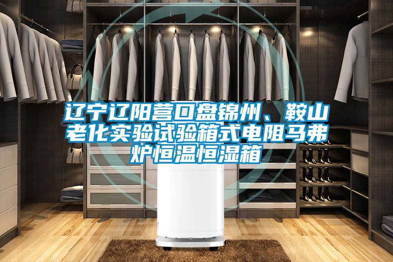 遼寧遼陽營口盤錦州、鞍山老化實(shí)驗(yàn)試驗(yàn)箱式電阻馬弗爐恒溫恒濕箱