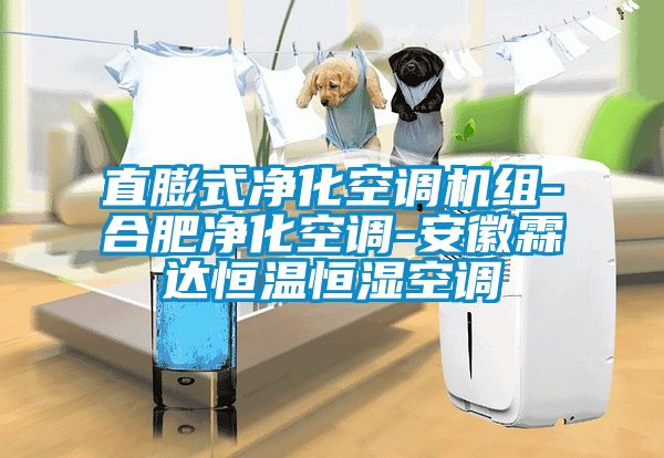 直膨式凈化空調機組-合肥凈化空調-安徽霖達恒溫恒濕空調