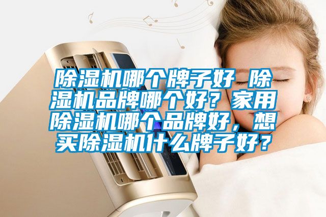 除濕機哪個牌子好 除濕機品牌哪個好？家用除濕機哪個品牌好，想買除濕機什么牌子好？