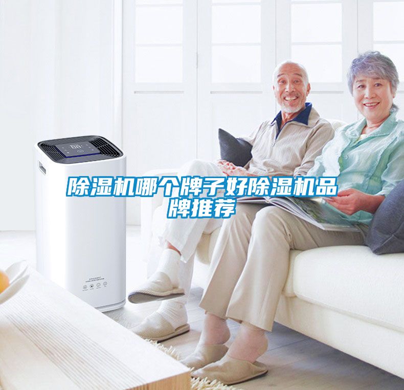 除濕機(jī)哪個(gè)牌子好除濕機(jī)品牌推薦