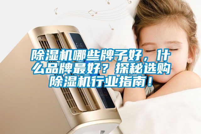 除濕機(jī)哪些牌子好，什么品牌最好？探秘選購除濕機(jī)行業(yè)指南！