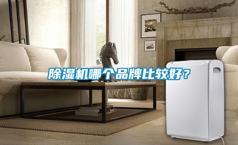 除濕機(jī)哪個(gè)品牌比較好？
