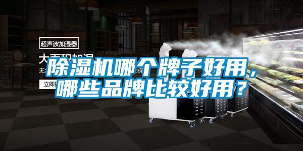 除濕機哪個牌子好用，哪些品牌比較好用？