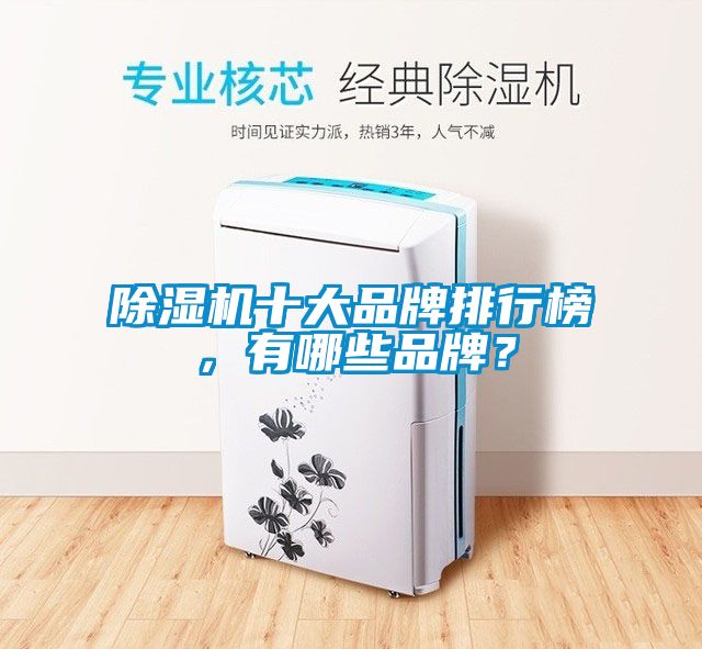 除濕機十大品牌排行榜，有哪些品牌？