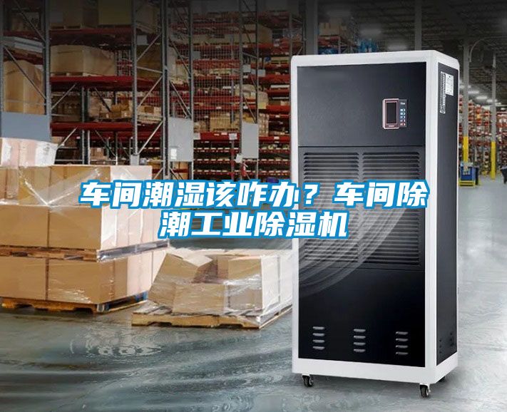 車間潮濕該咋辦？車間除潮工業(yè)除濕機(jī)