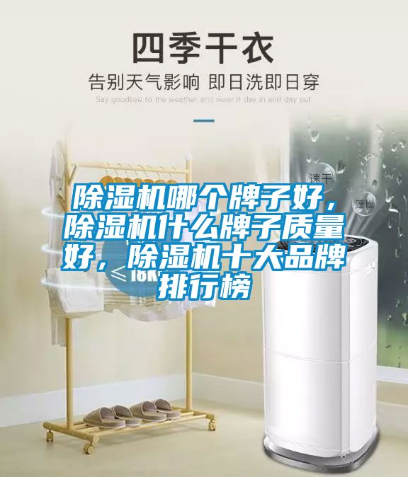 除濕機(jī)哪個(gè)牌子好，除濕機(jī)什么牌子質(zhì)量好，除濕機(jī)十大品牌排行榜