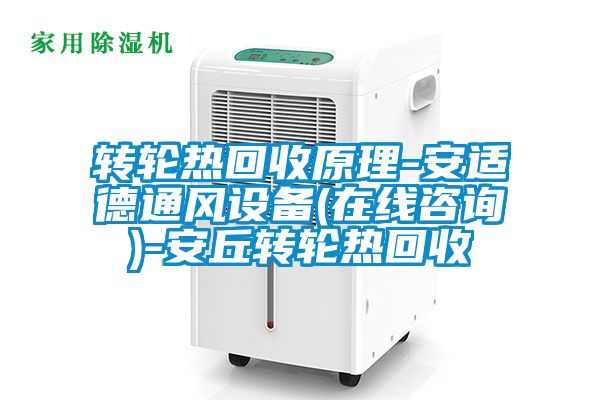 轉(zhuǎn)輪熱回收原理-安適德通風(fēng)設(shè)備(在線咨詢)-安丘轉(zhuǎn)輪熱回收