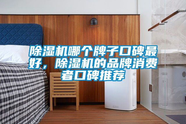 除濕機(jī)哪個(gè)牌子口碑最好，除濕機(jī)的品牌消費(fèi)者口碑推薦