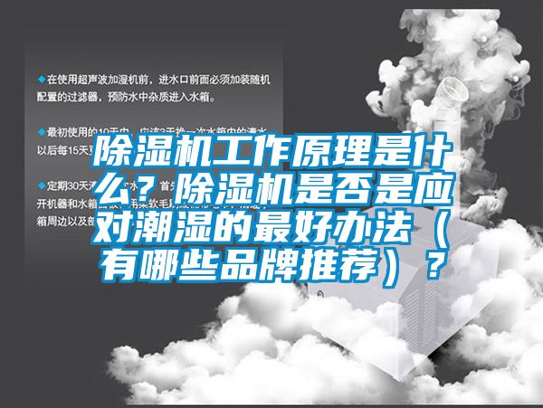 除濕機(jī)工作原理是什么？除濕機(jī)是否是應(yīng)對(duì)潮濕的最好辦法（有哪些品牌推薦）？