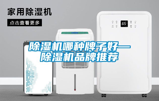 除濕機(jī)哪種牌子好—除濕機(jī)品牌推薦