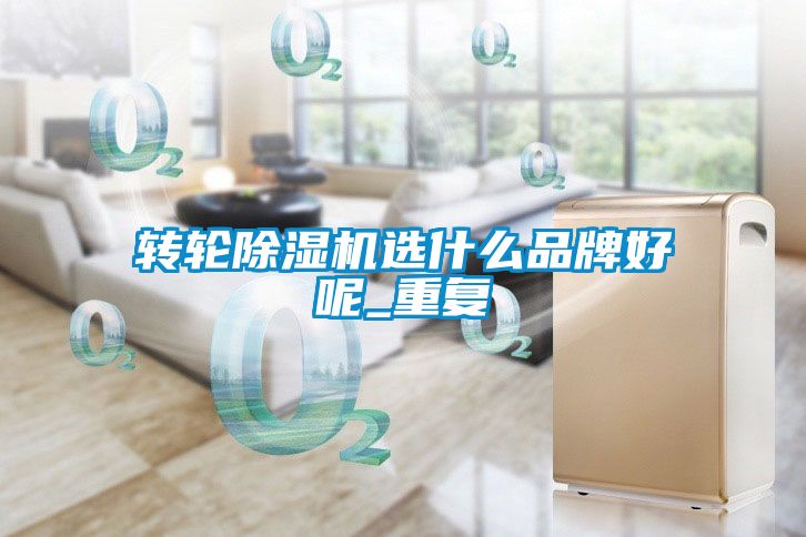 轉輪除濕機選什么品牌好呢_重復