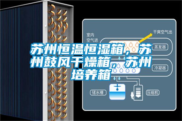 蘇州恒溫恒濕箱，蘇州鼓風(fēng)干燥箱，蘇州培養(yǎng)箱