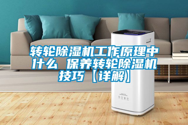 轉(zhuǎn)輪除濕機工作原理中什么 保養(yǎng)轉(zhuǎn)輪除濕機技巧【詳解】