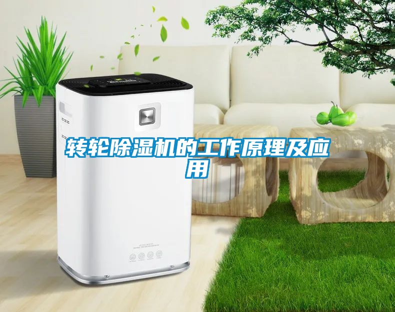 轉(zhuǎn)輪除濕機的工作原理及應(yīng)用